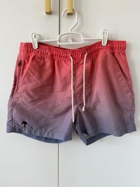 OAS ombré sunset swim suit